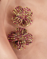 Clips Alexa multicolore