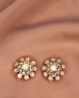 Clips Romy cristal
